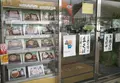 道の駅 いながわの写真_48019