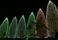 元渕江公園の写真_54101