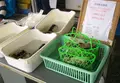 赤穂市漁業協同組合 坂越かき直販所の写真_57160