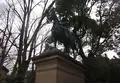 有栖川宮記念公園の写真_62902
