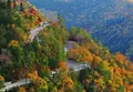 嵐山−高雄パークウェイの写真_66527