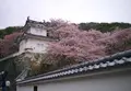 龍野城の写真_70352