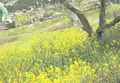 いすみ鉄道の写真_72459