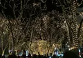 SENDAI 光のページェントの写真_126815