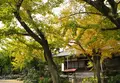 一乗寺の写真_130616