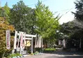 法山寺の写真_131527