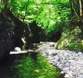 奈良子釣りセンターの写真_145197