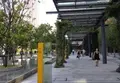 豊洲フォレシアの写真_168740