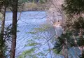 青木湖の写真_183462