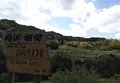 稲渕の棚田の写真_324469