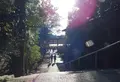 宇治神社の写真_122254