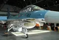 岐阜基地航空祭の写真_21630