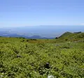伊吹山の写真_22358