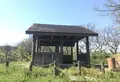 田浦梅の里の写真_271930
