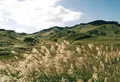 砥峰高原の写真_43930