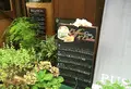 ＰＵＳＨ・ＢＯＸ 富岡店の写真_43993