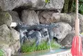 深川不動堂の写真_44399