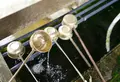 熊野神水の写真_47057