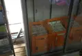 淡路島牧場の写真_57144