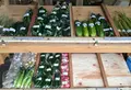 鮎の瀬交流館　アユノセカフェの写真_60213