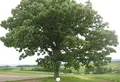 富良野市の写真_90220