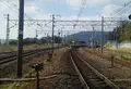 レリッシュの写真_99992