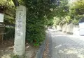 レリッシュの写真_99998