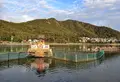 苧ヶ瀬池（おがせ池）の写真_127957