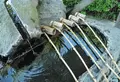 飛鳥坐神社の写真_132689