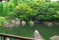 好古園の写真_146303