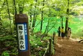竜ヶ窪の池の写真_259307