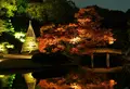 六義園の写真_458044