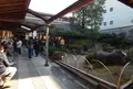 中村藤吉本店の写真_121557