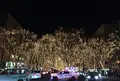 SENDAI 光のページェントの写真_20004