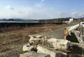 大谷海岸の写真_20289