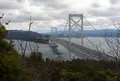 渦の道の写真_22046
