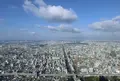 SKY GARDEN 300の写真_22100