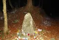 八王子城跡の写真_22859