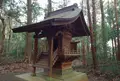 千葉県立船橋県民の森の写真_25613