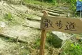 まんさくの写真_25743
