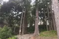 石垣山一夜城の写真_26748