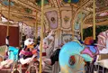 天橋立ビューランドの写真_27499