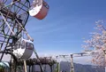 天橋立ビューランドの写真_27500