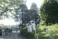 御殿山公園の写真_29738