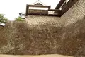 熊本城の写真_32240