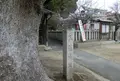 三箇菅原神社の写真_34636