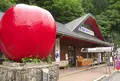 道の駅 はがの写真_34933