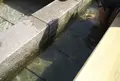 湯村温泉の写真_35598