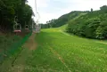 ちくさ高原ゆり園の写真_36621