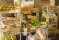 南光ひまわり館の写真_36629